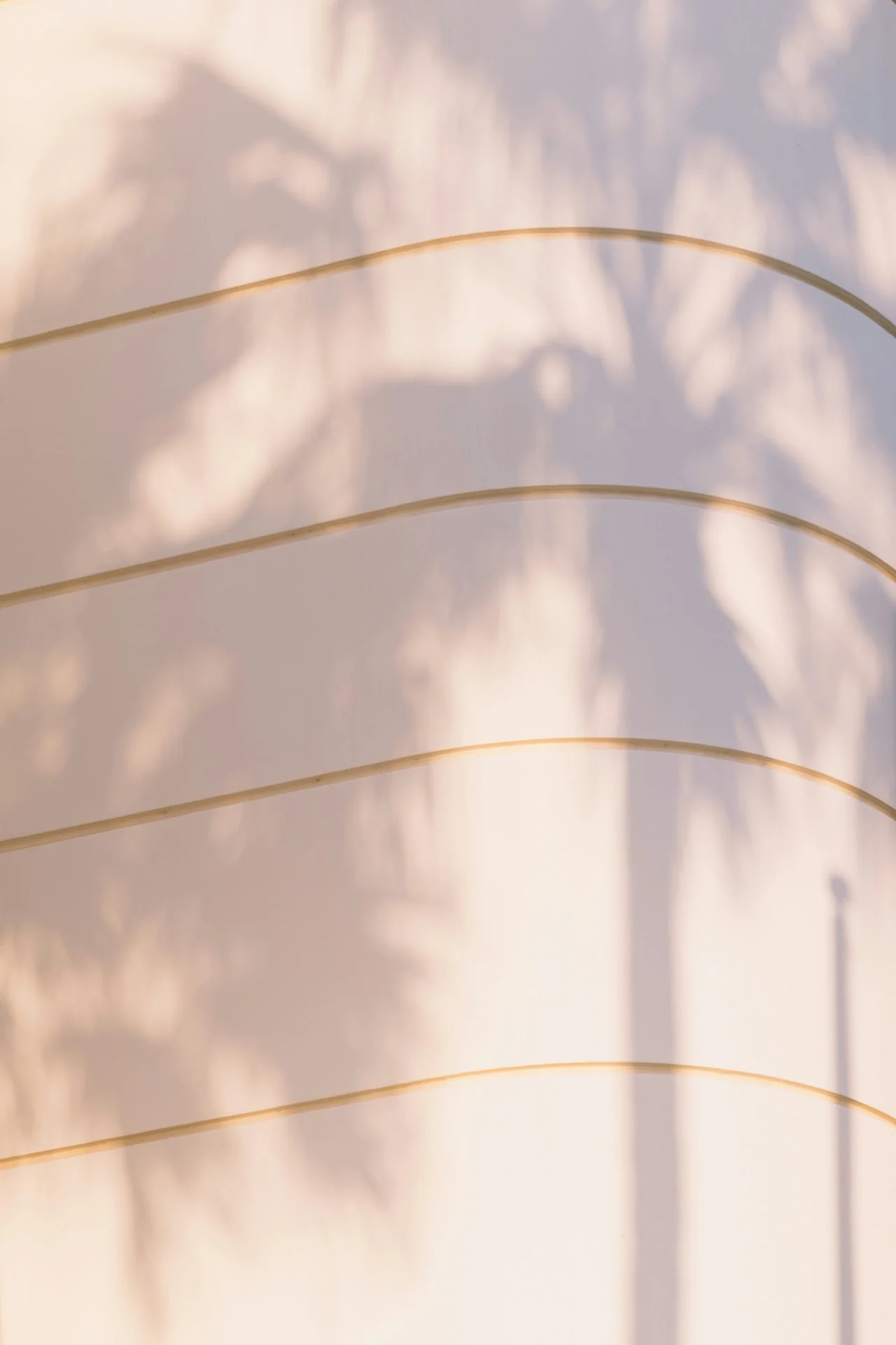 Palm tree shadow on a warm blush wall in Dubai
